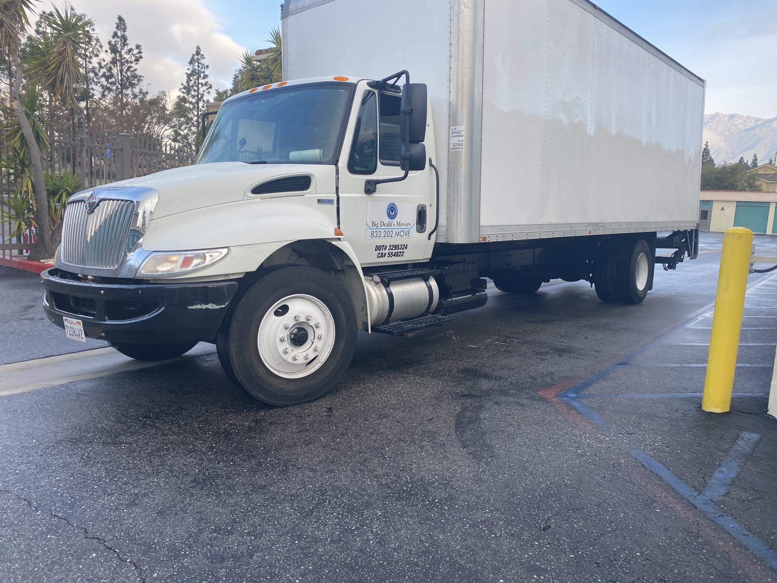 Specially Designed Senior Relocation Services for You in Forest Falls, CA